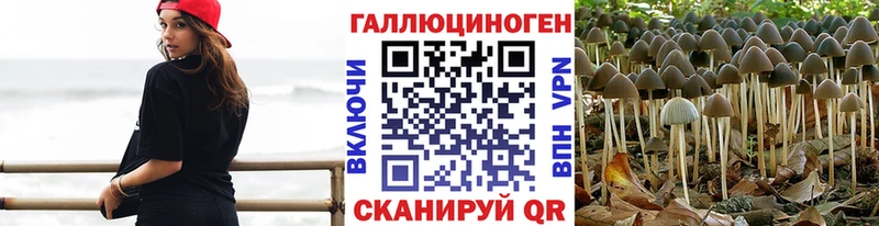 где продают наркотики Шимановск Галлюциногенные грибы ЛСД